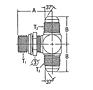 203003 SAE O-Ring Boss to 37º Flare